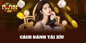 Cách đánh tài xỉu