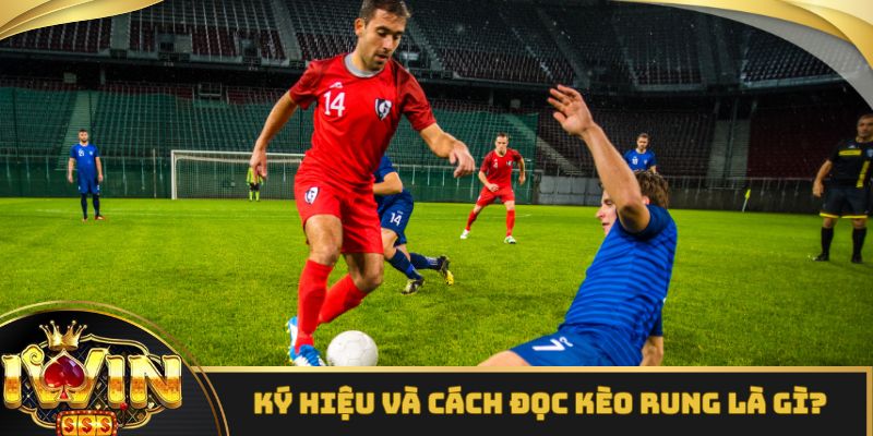 Ký hiệu và cách đọc kèo rung là gì?